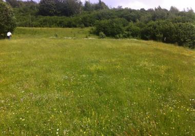 Grundstück 1000 m2 zum Bauen in Kolashin