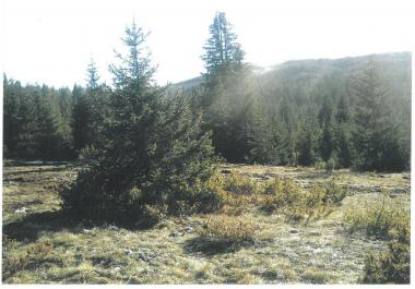 Exklusives Bergland für Jagdfarm 19720 m inmitten unberührter Durmitor-Natur