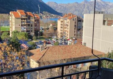 Wohnung kaufen in Kotor