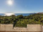 Atemberaubender Panoramablick auf das Meer 249 m2 Haus in Blizikuće als Mini-Hotel