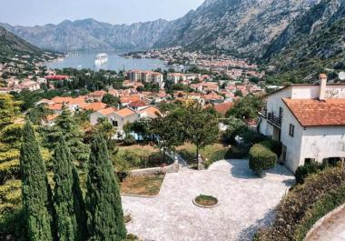 Zuhause in Kotor